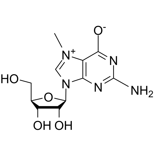 7-Methylguanosine 20244-86-4